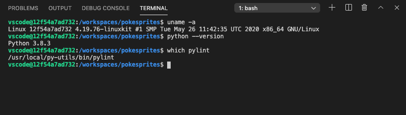 VS Code Remote Container integrated terminal with Python tools